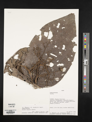 Image Associated With the Occurence