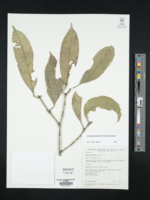 Image Associated With the Occurence