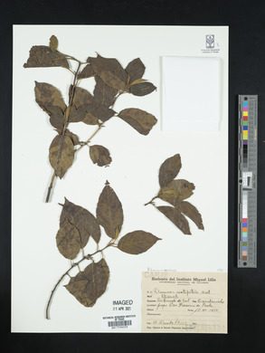 Image Associated With the Occurence