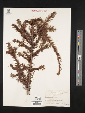 Image Associated With the Occurence
