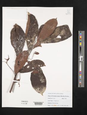 Image Associated With the Occurence