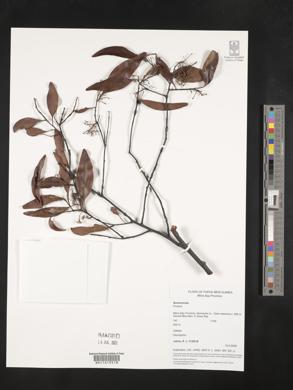 Image Associated With the Occurence