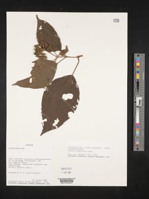 Image Associated With the Occurence