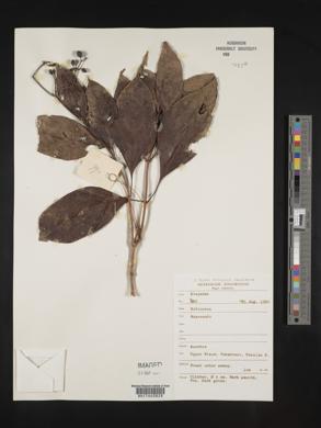 Image Associated With the Occurence