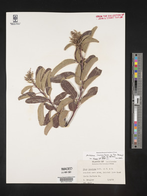 Image Associated With the Occurence