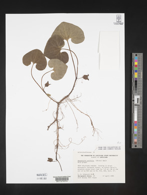 Image Associated With the Occurence