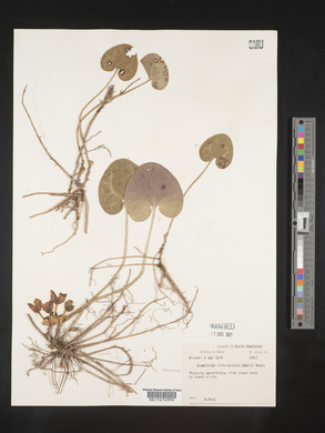 Image Associated With the Occurence