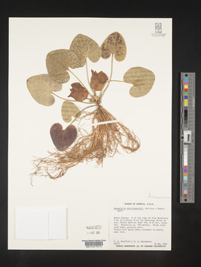 Image Associated With the Occurence