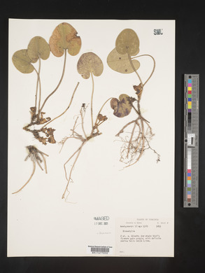 Image Associated With the Occurence