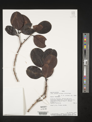 Image Associated With the Occurence