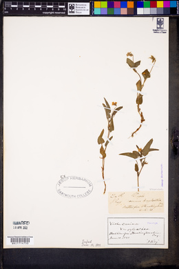 Image Associated With the Occurence