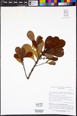 Image Associated With the Occurence