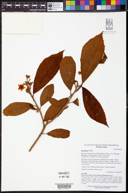 Image Associated With the Occurence