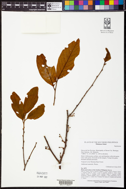 Image Associated With the Occurence