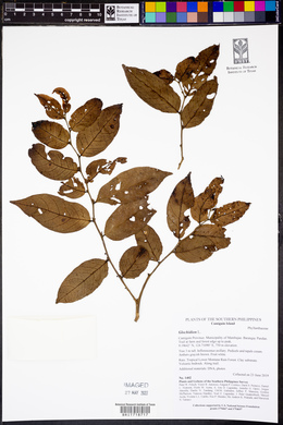 Image Associated With the Occurence