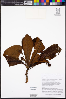Image Associated With the Occurence