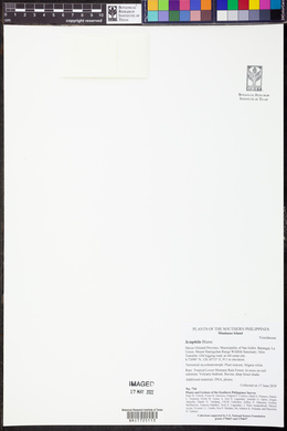 Image Associated With the Occurence
