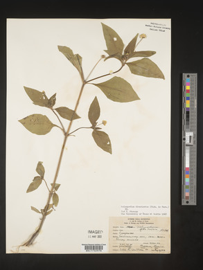 Image Associated With the Occurence