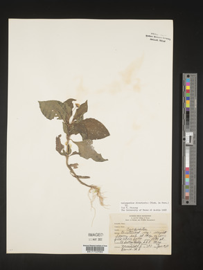 Image Associated With the Occurence