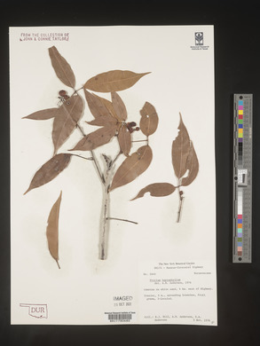Image Associated With the Occurence