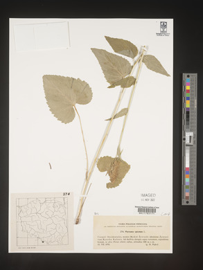 Image Associated With the Occurence
