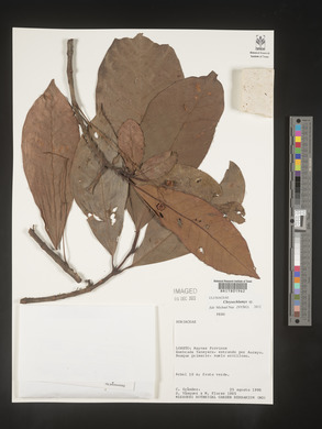 Image Associated With the Occurence