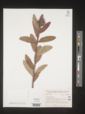 Image Associated With the Occurence
