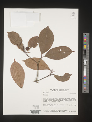 Image Associated With the Occurence