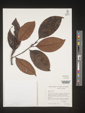 Image Associated With the Occurence