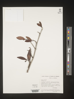 Image Associated With the Occurence