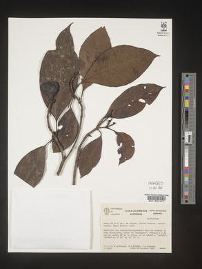 Image Associated With the Occurence
