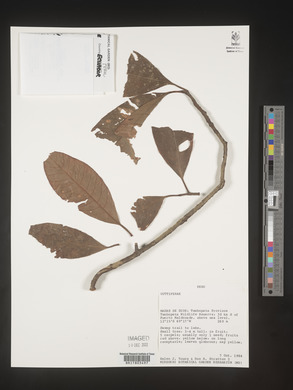 Image Associated With the Occurence