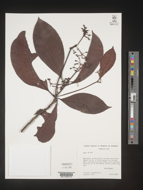 Image Associated With the Occurence