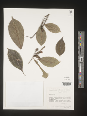 Image Associated With the Occurence