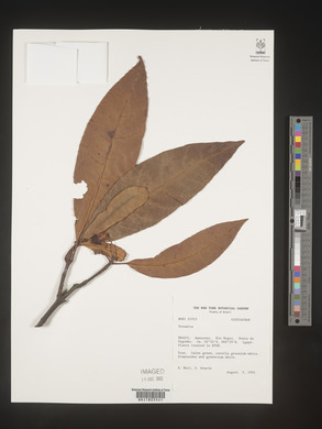 Image Associated With the Occurence