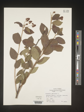 Image Associated With the Occurence