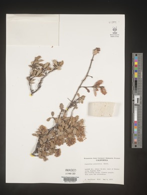 Image Associated With the Occurence