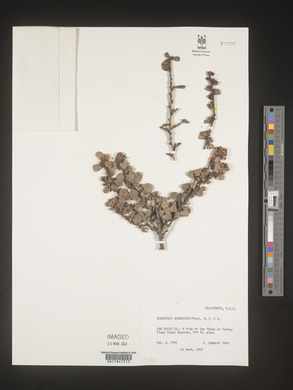 Image Associated With the Occurence