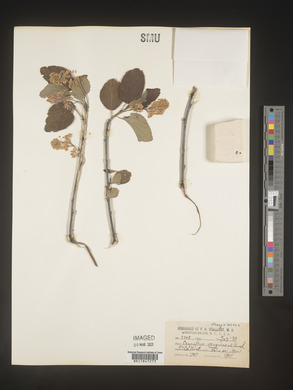 Image Associated With the Occurence