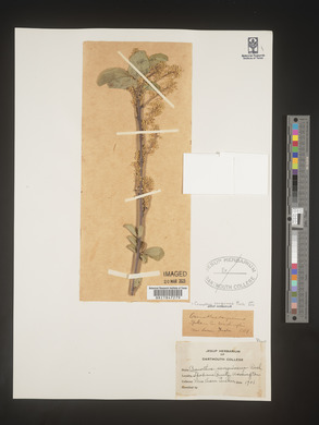 Image Associated With the Occurence
