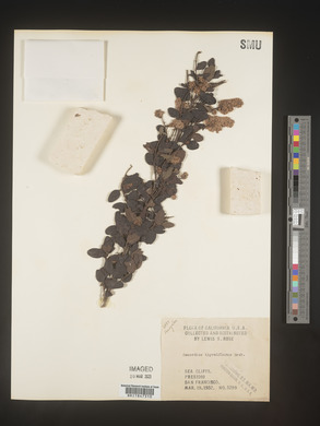 Image Associated With the Occurence
