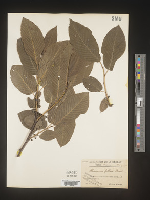 Image Associated With the Occurence