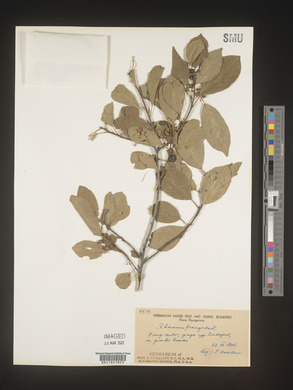 Image Associated With the Occurence