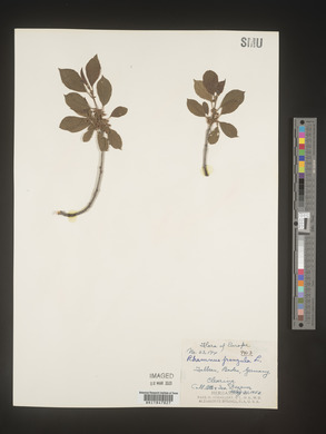 Image Associated With the Occurence