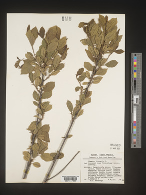 Image Associated With the Occurence