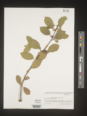 Image Associated With the Occurence