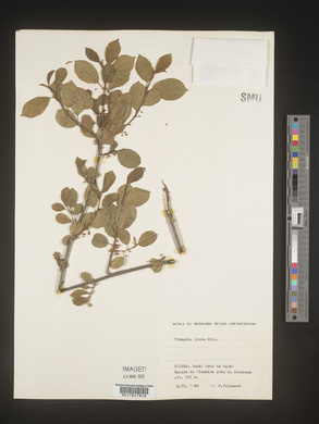 Image Associated With the Occurence