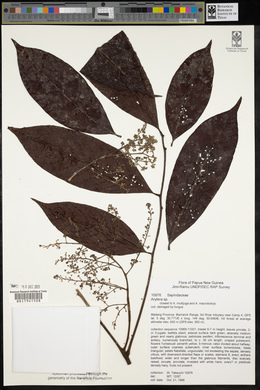 Image Associated With the Occurence