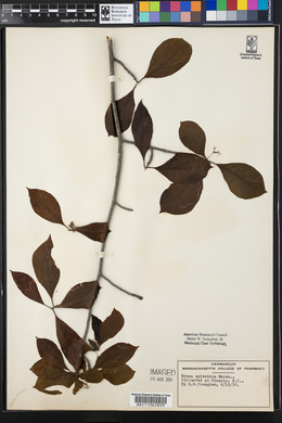 Image Associated With the Occurence