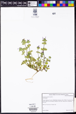 Image Associated With the Occurence